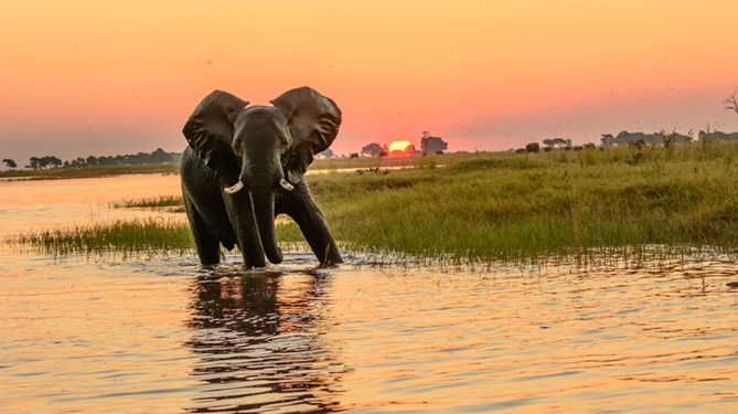 The Stunning Landscapes of Botswana